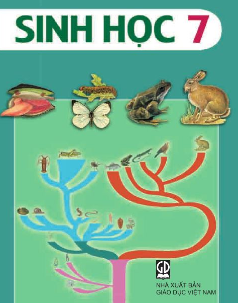 Chương VII: Sự tiến hóa của động vật – Tiến hóa về sinh sản – Hướng dẫn giải bài tập Sinh học lớp 7 trang 181